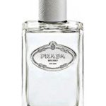Iris Cedre Perfume Prada