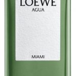 Loewe Miami Primor